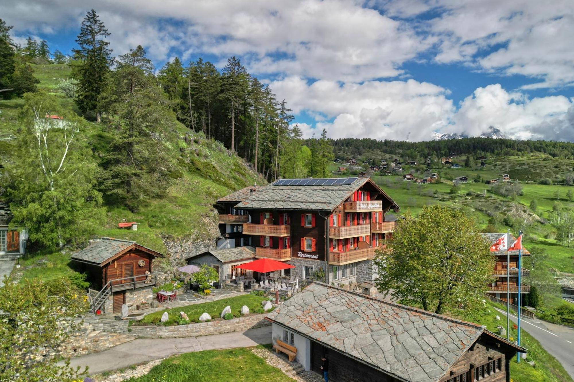 Hotel Alpenblick Zeneggen Εξωτερικό φωτογραφία