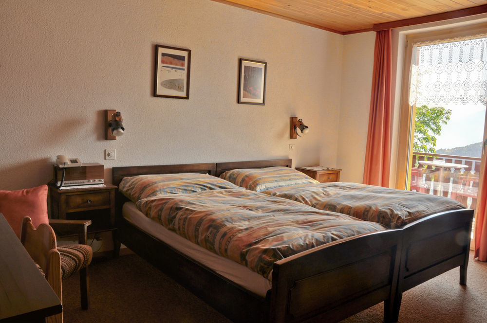 Hotel Alpenblick Zeneggen Εξωτερικό φωτογραφία