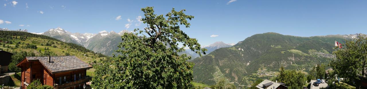 Hotel Alpenblick Zeneggen Εξωτερικό φωτογραφία