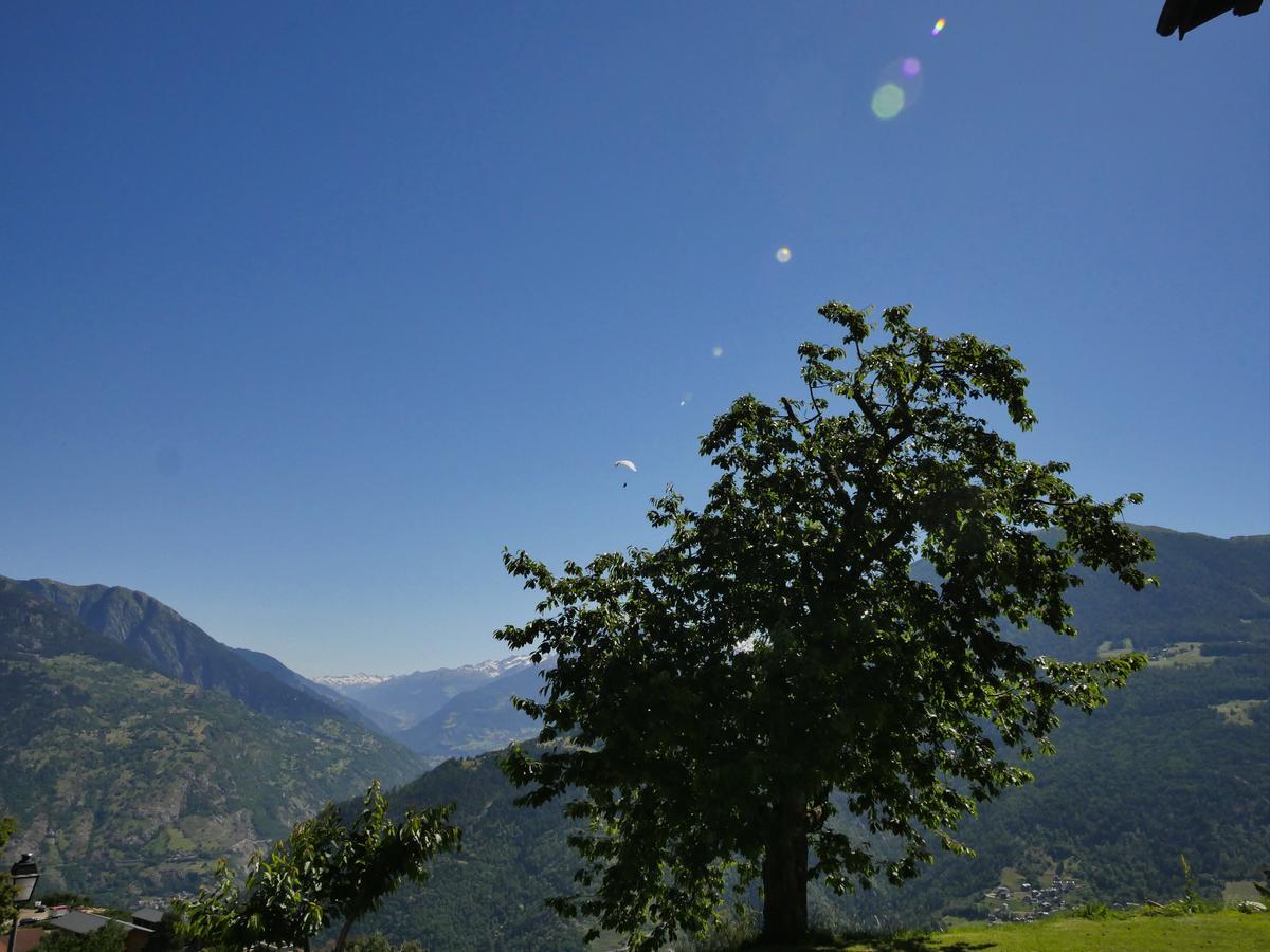 Hotel Alpenblick Zeneggen Εξωτερικό φωτογραφία